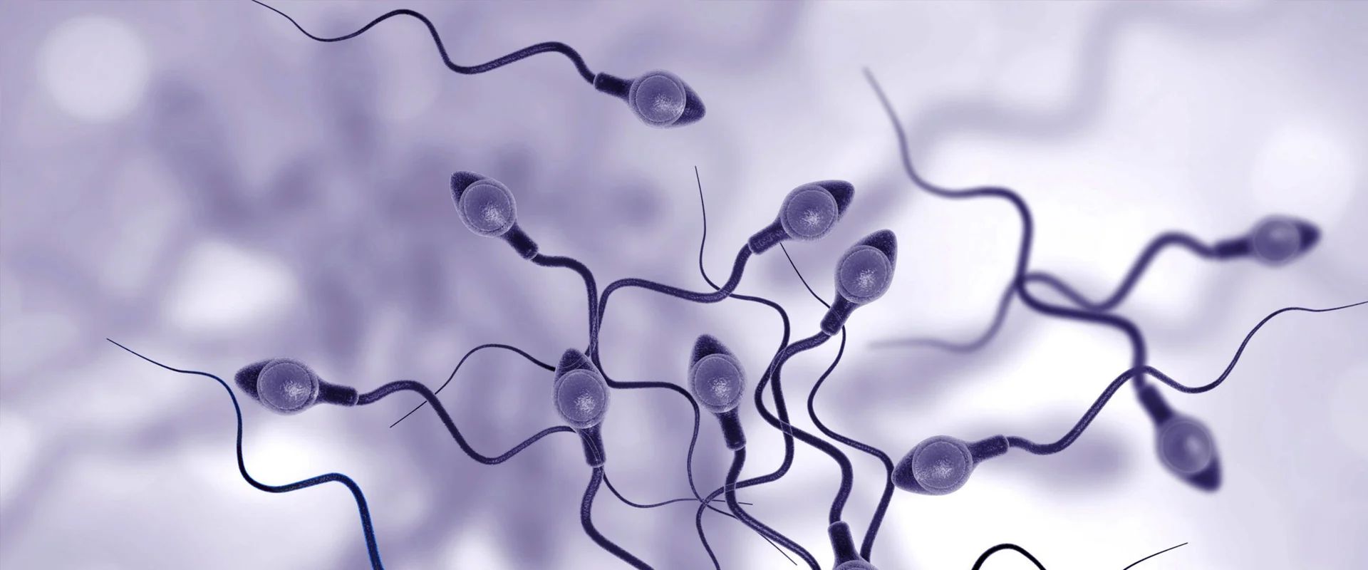 Biologie de la reproduction, fertilité et PMA au Laboratoire Talborjt à Agadir